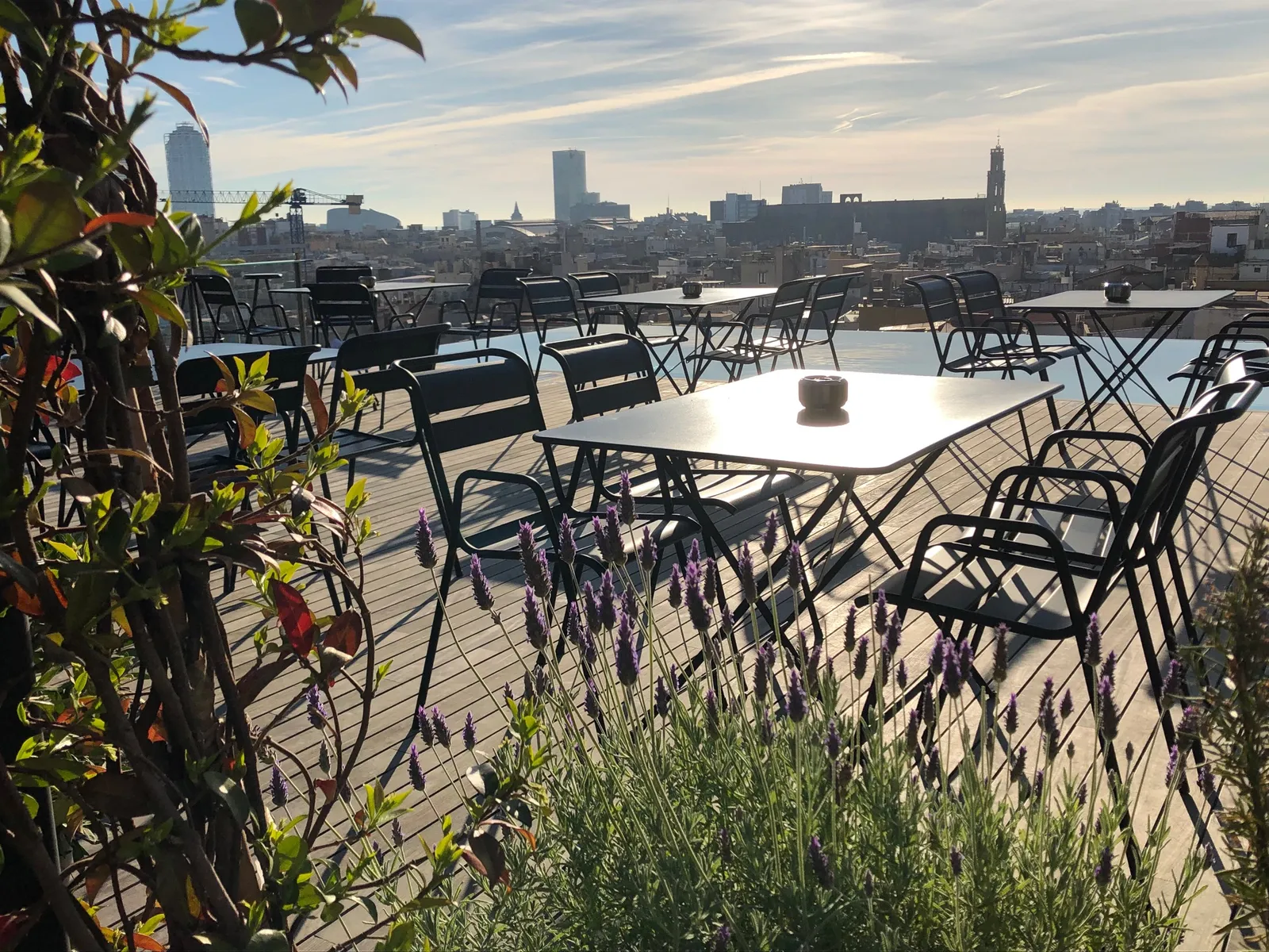 Sonniger Morgen auf einer Dachterrasse mit Blick auf die Skyline, leere Tische und Stühle, Pflanzen im Vordergrund