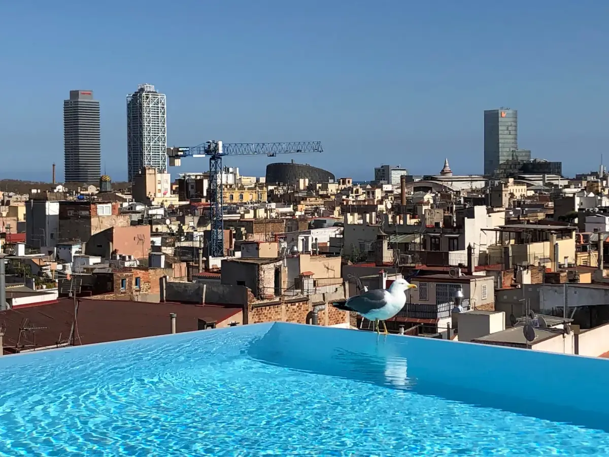 Blick von einem Dachpool auf die Silhouette Barcelonas mit bunten Häusern, modernen Hochhäusern und einer Möwe am Wasserrand