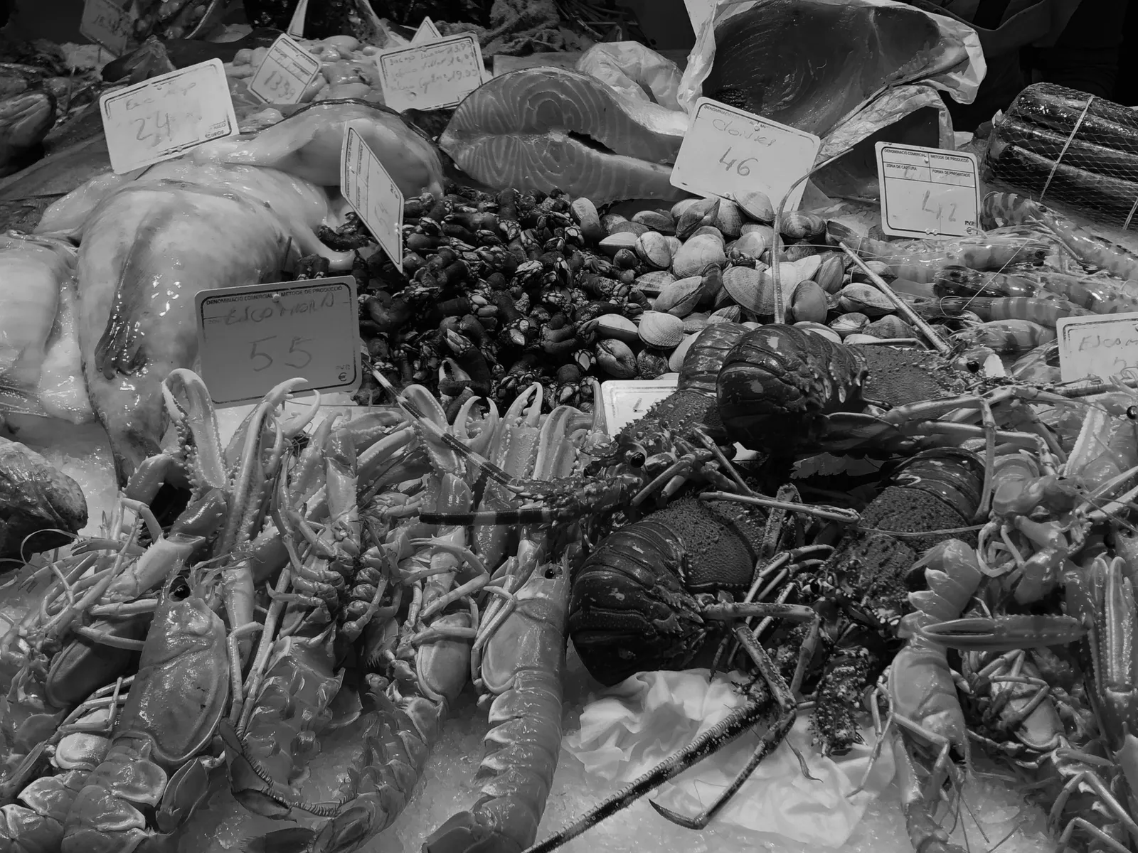 Verschiedene frische Meeresfrüchte und Fisch auf Eis auf dem Markt, mit Preisschildern gekennzeichnet