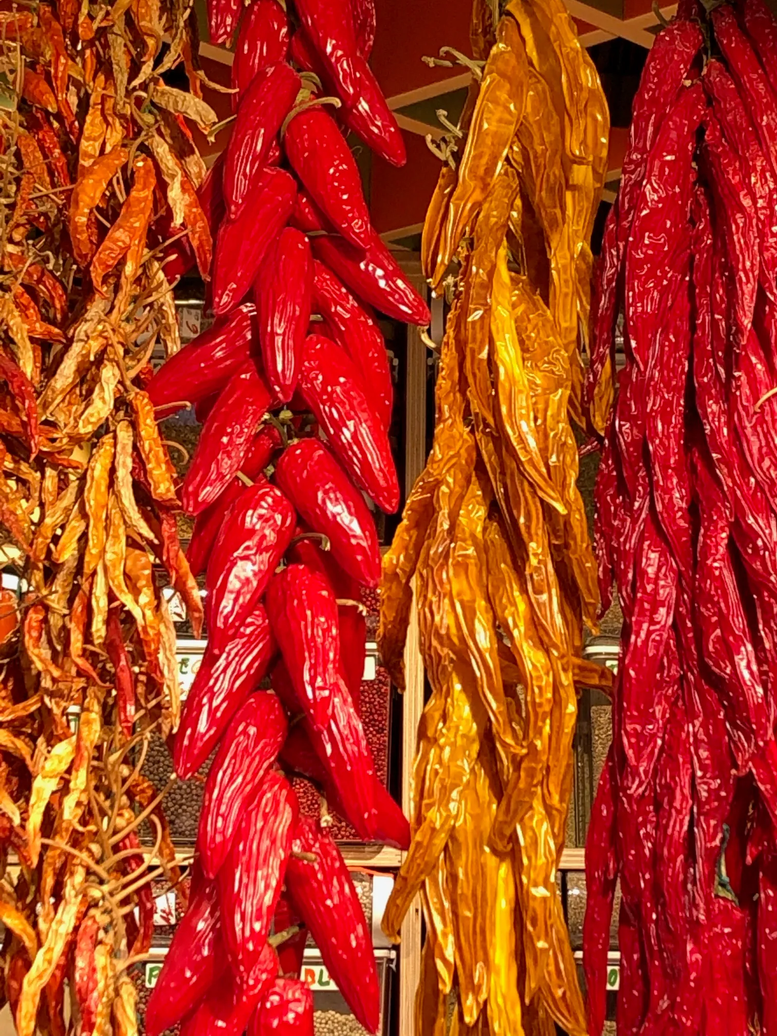 Getrocknete Chilis in intensiven Rottönen und Goldgelb hängen gebündelt nebeneinander, leuchtende Farben auf dem Markt