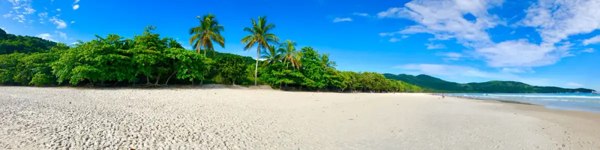 Blütenweiß glänzender Feinsandstrand mit üppiger grüner Vegetation und Palmen unter strahlendem Sonnenlicht und blauem Himmel