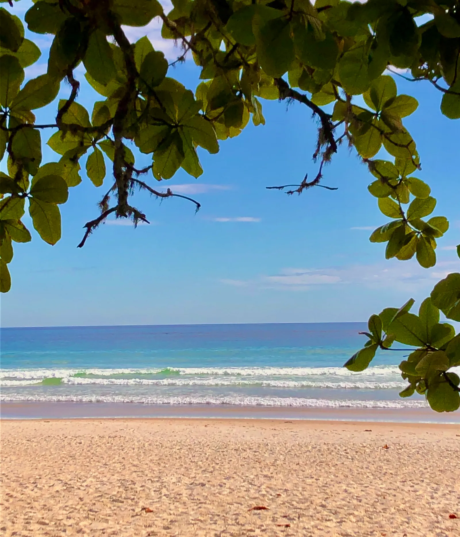 Blick unter grünem Blätterdach auf breiten Sandstrand mit Wellen und türkisblauem Meer unter strahlend blauem Himmel