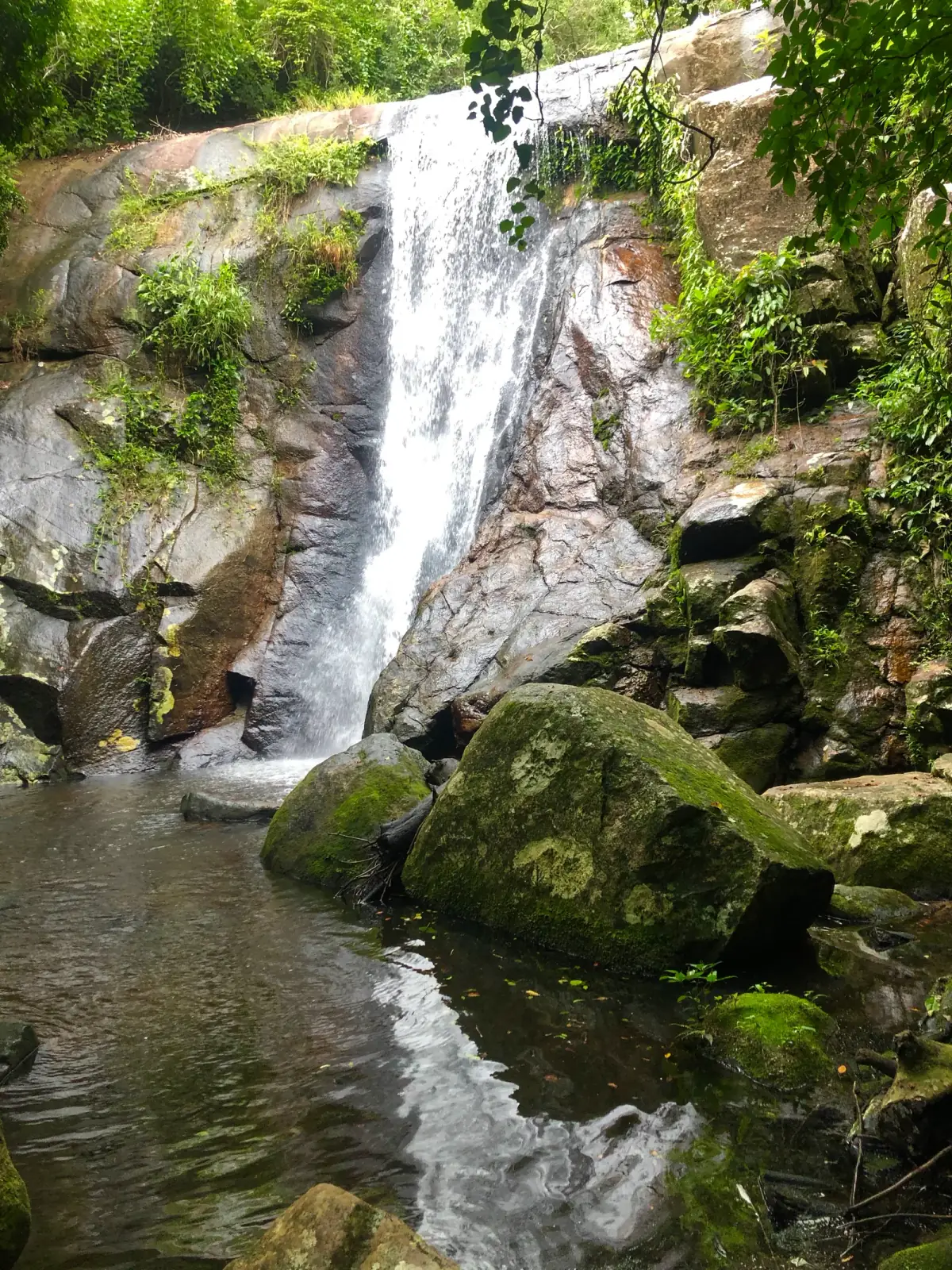 Wasserfall stürzt über moosbedeckte Felswand in grünem Dschungel, davor moosige Steine im klaren Wasser