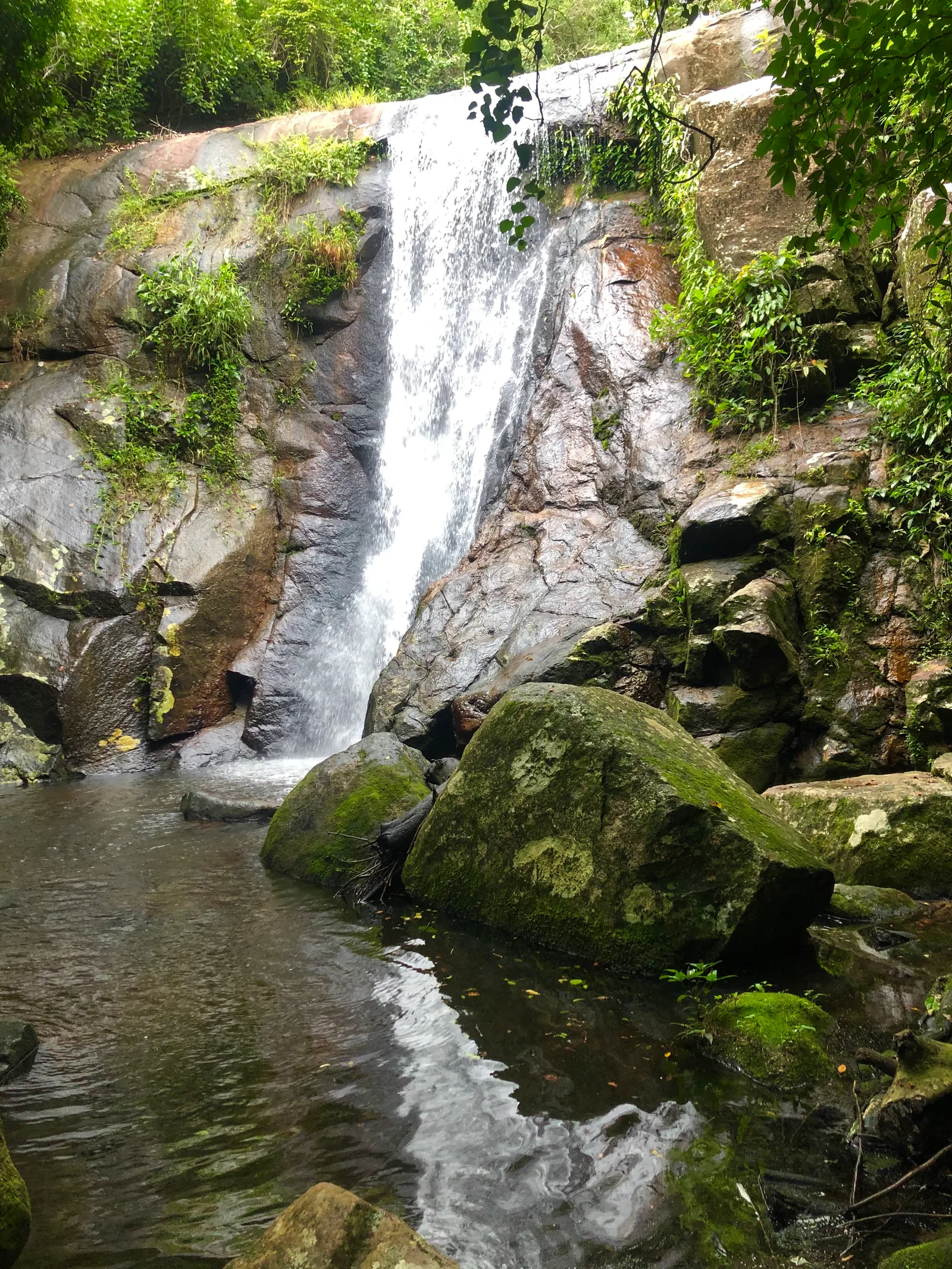 Wasserfall stürzt über moosbedeckte Felswand in grünem Dschungel, davor moosige Steine im klaren Wasser