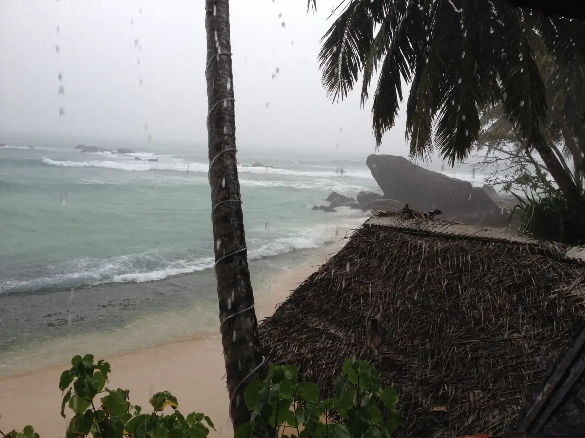 Tropischer Strand mit Palme im Regen, wilde Wellen, dunkle Felsen und üppige Vegetation, stürmisches Wetter über dem Meer