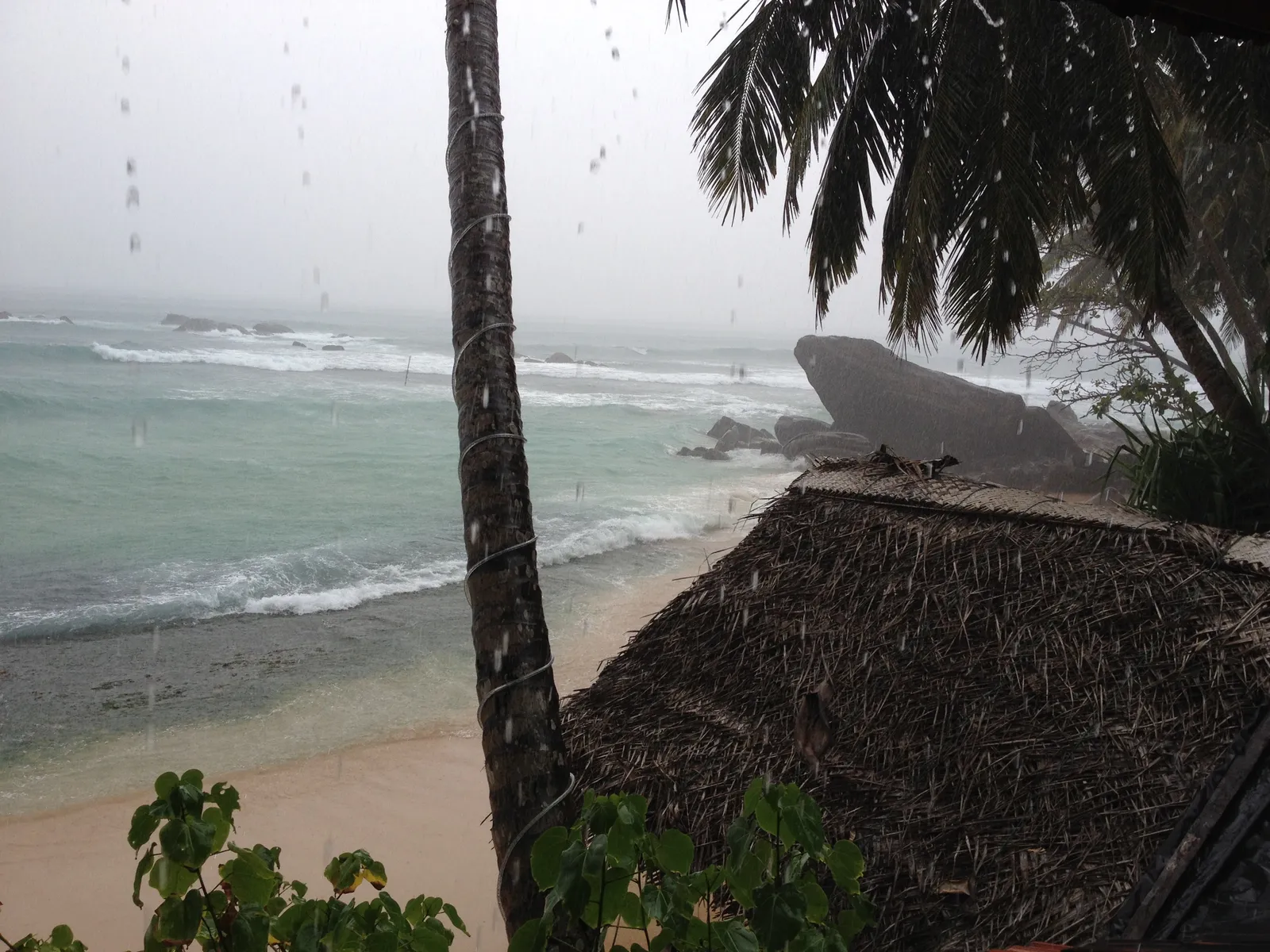 Tropischer Strand mit Palme im Regen, wilde Wellen, dunkle Felsen und üppige Vegetation, stürmisches Wetter über dem Meer