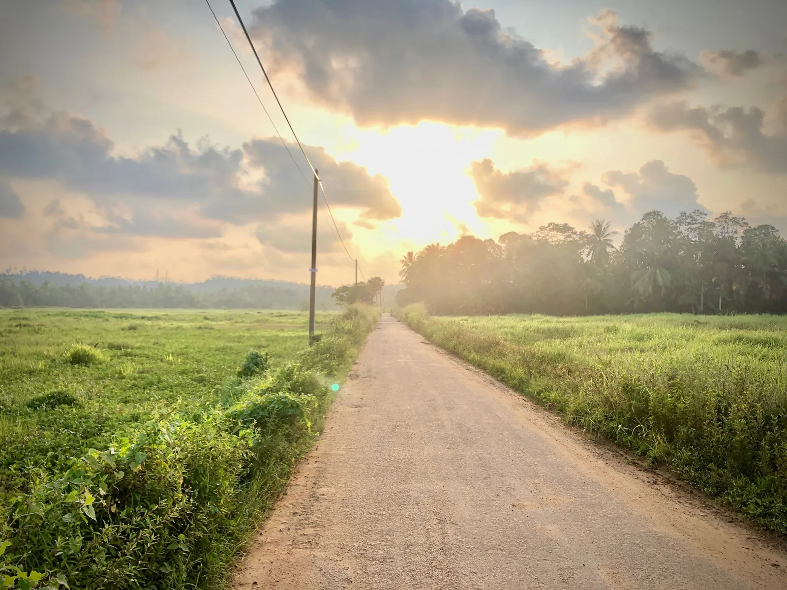 Sandweg durch grüne Felder mit Stromleitung, Sonnenuntergang hinter Bäumen, sanfte Landschaftsstimmung in tropischer Umgebung