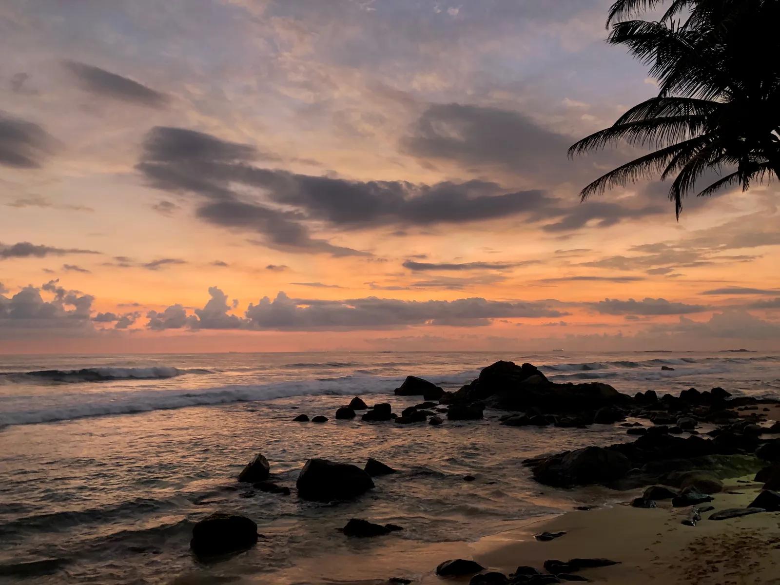 Tropischer Strand bei Sonnenuntergang mit Palme, schwarzen Felsen im Wasser und dramatischem orange-rosa Himmel mit Wolken