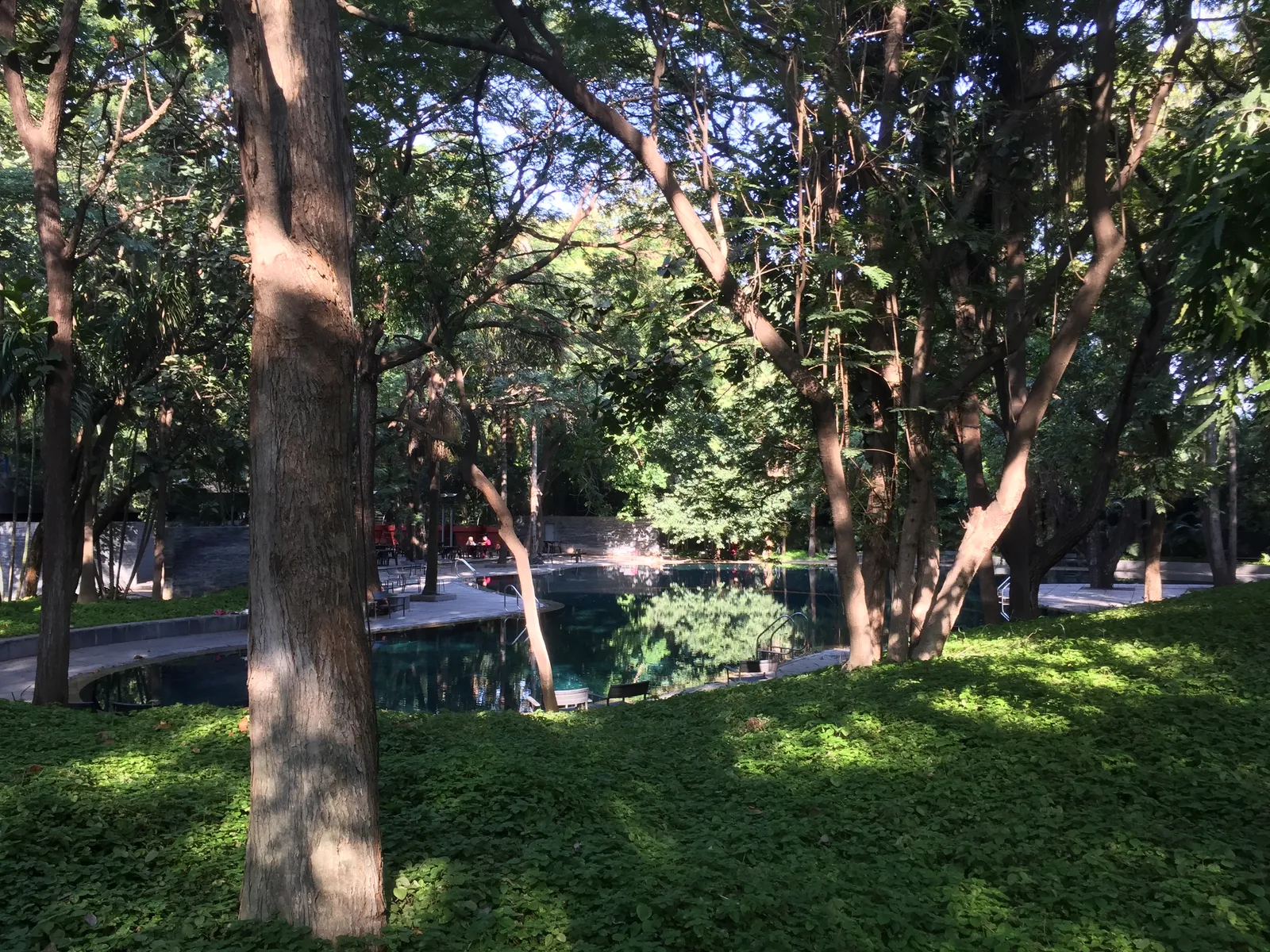 Parklandschaft mit großen Bäumen, grünem Rasen und einem kleinen Gewässer, durchflutet von Sonnenlicht und Schatten