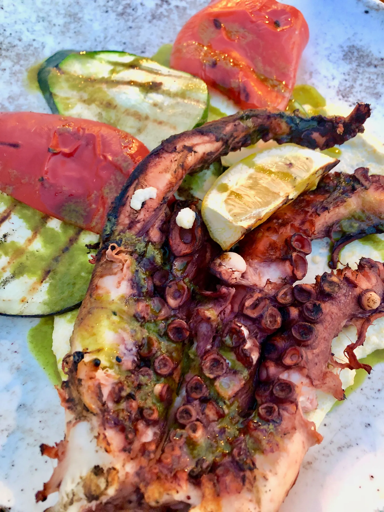 Gegrillter Oktopus mit Zucchini und Paprika auf weißem Teller, mediterrane Küche