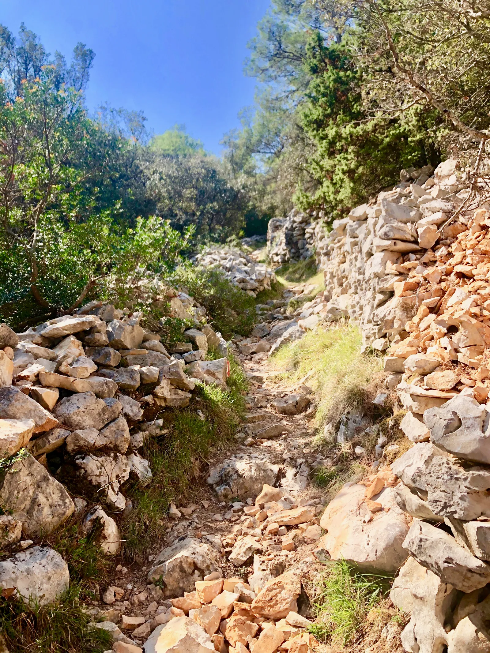 Steiniger Wanderweg zwischen Trockenmauern führt durch mediterrane Vegetation in eine felsige Bucht