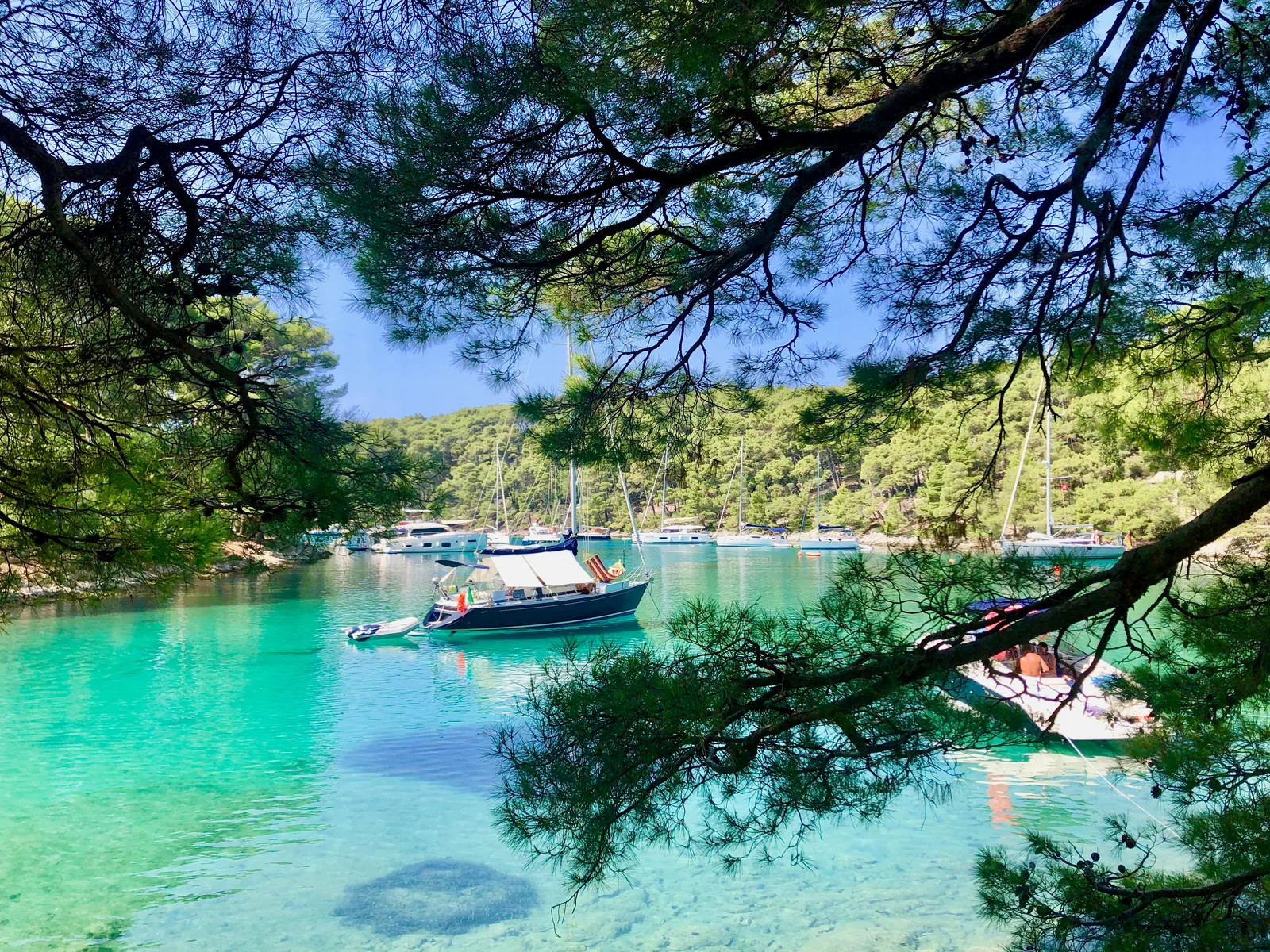 Türkisblaue Bucht mit ankernden Segelbooten, umrahmt von dunklen Kiefernästen und bewaldeten Hügeln an der Küste