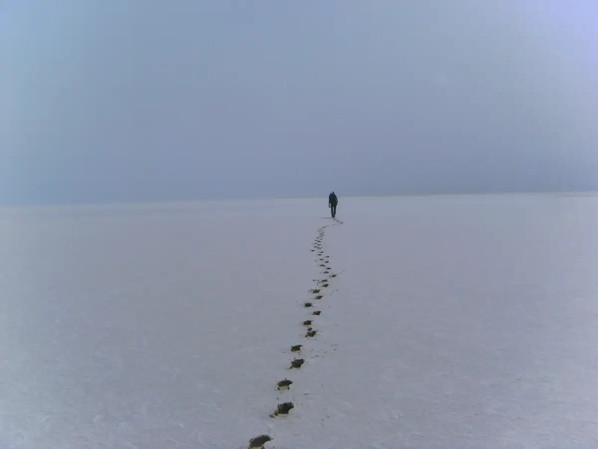 Einzelne Person folgt einer Spur von Steinen über schneebedeckte Landschaft in nebligem Wetter