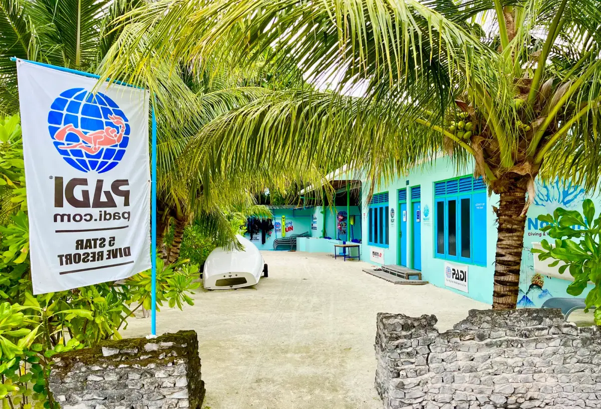 Blaugestrichene Tauchschule mit IGLS-Schild unter Palmen am Strand, Weg zum Tauchgang in tropischem Inselparadies