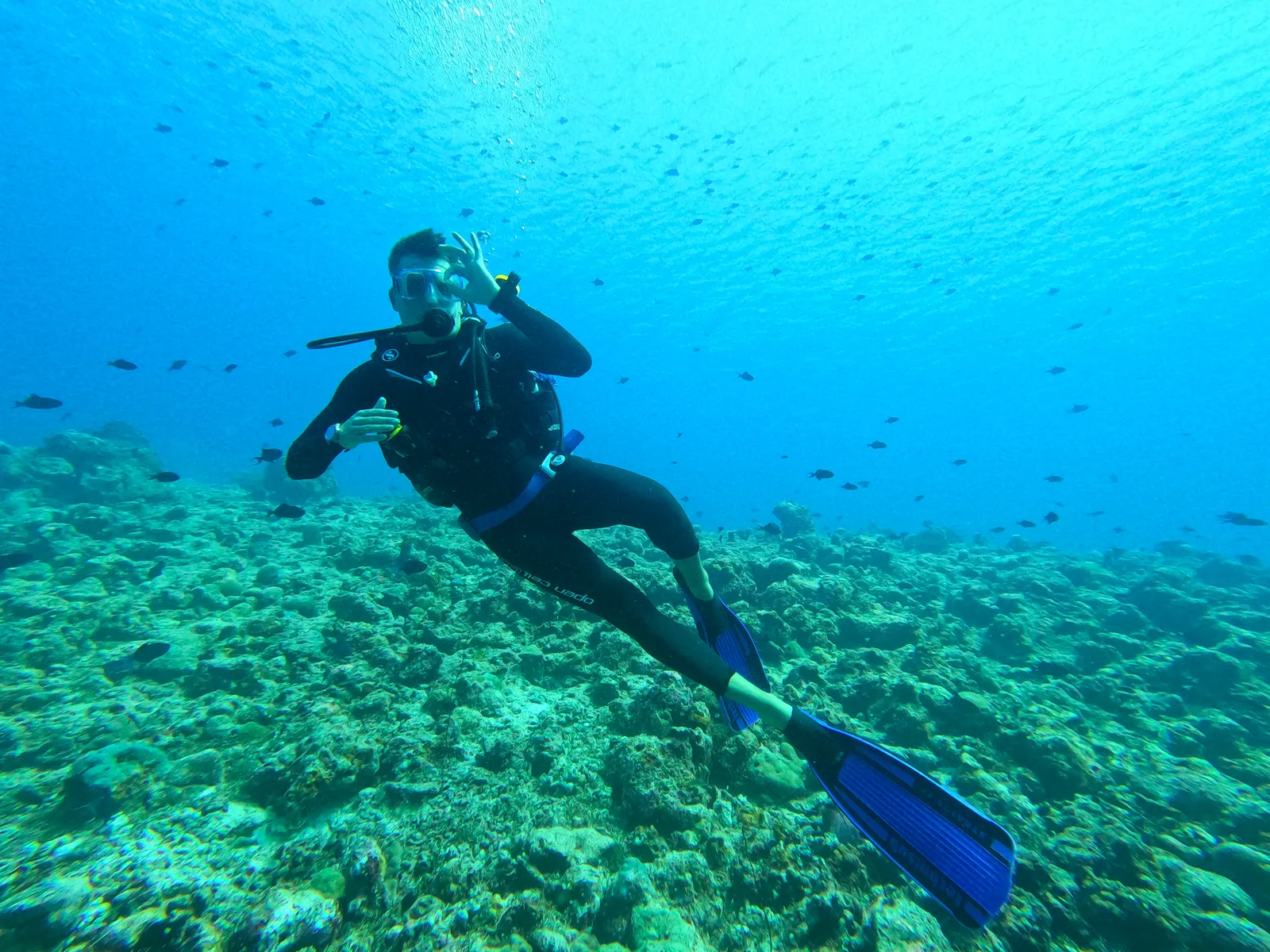Taucher in Neoprenanzug und mit Atemregler schwebt über korallenreichem Meeresboden in klarem türkisem Wasser