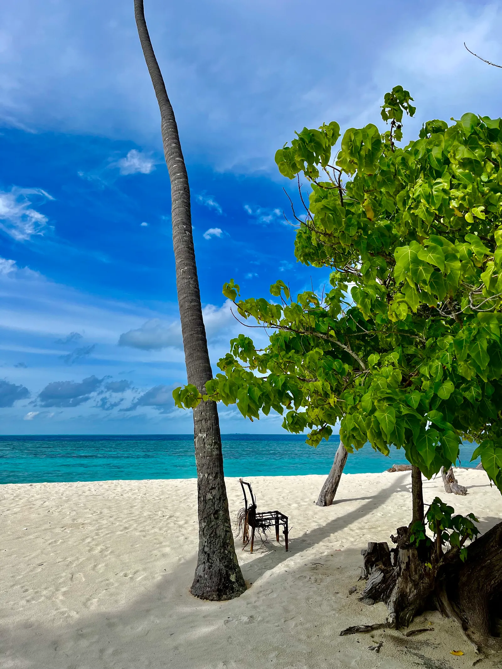 Tropischer Strand mit Palmen, türkisblauem Meer und einsamer Bank im Schatten, klarer Himmel mit weißen Wolken