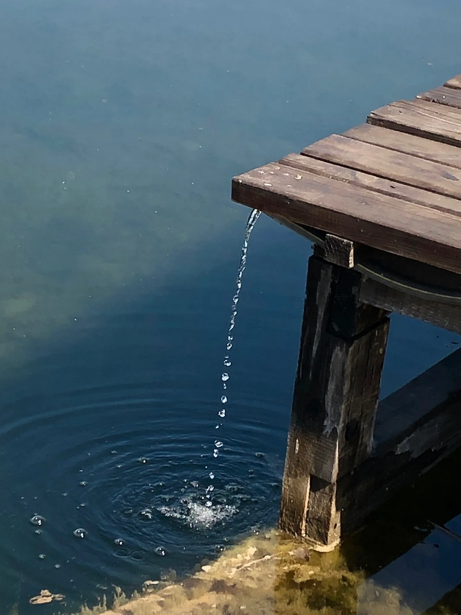 Wasser tropft von einem Gartenschlauch in einen klaren Teich, während eine hölzerne Anlegestelle die Szene rahmt