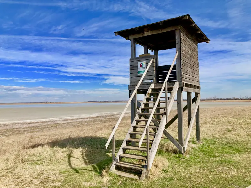 Holzbeobachtungsturm an der Langen Lacke mit Blick über das flache Schilfland und die Wasserfläche unter blauem Himmel