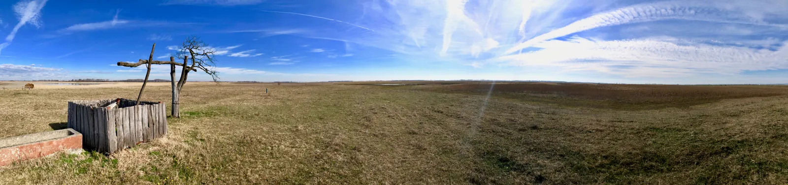 Flaches Steppenland mit altem Holzpumpwerk unter blauem Himmel, weit entfernte schneebedeckte Bergkuppe am Horizont
