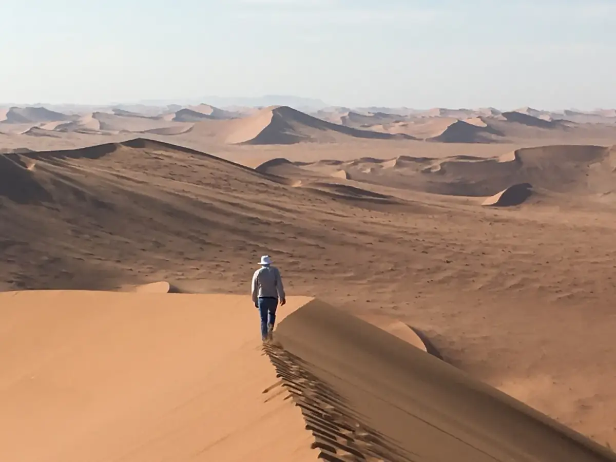 Wanderer in weiter Wüstenlandschaft mit Sanddünen und fernen Bergen unter klarem Himmel