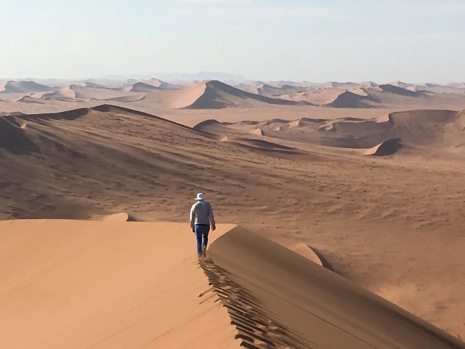 Wanderer in weiter Wüstenlandschaft mit Sanddünen und fernen Bergen unter klarem Himmel