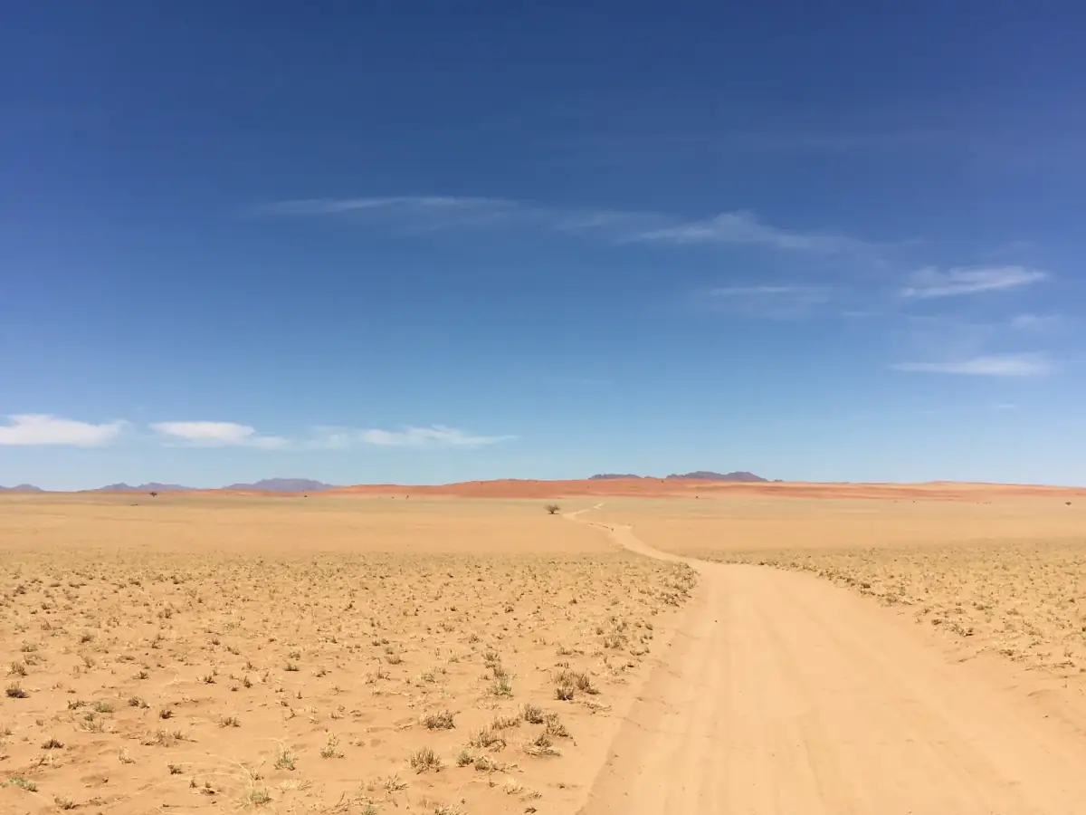 Sandpiste führt durch flache Wüstenlandschaft mit spärlicher Vegetation unter blauem Himmel, Bergketten am Horizont