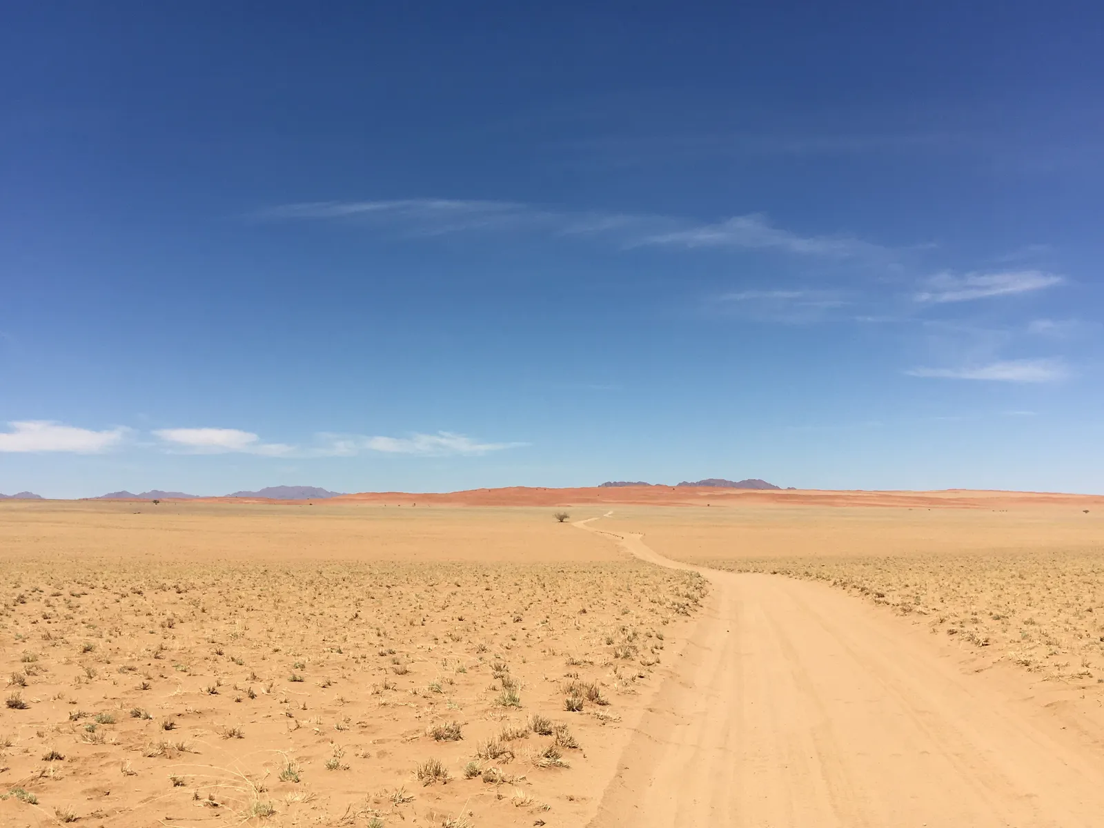 Sandpiste führt durch flache Wüstenlandschaft mit spärlicher Vegetation unter blauem Himmel, Bergketten am Horizont