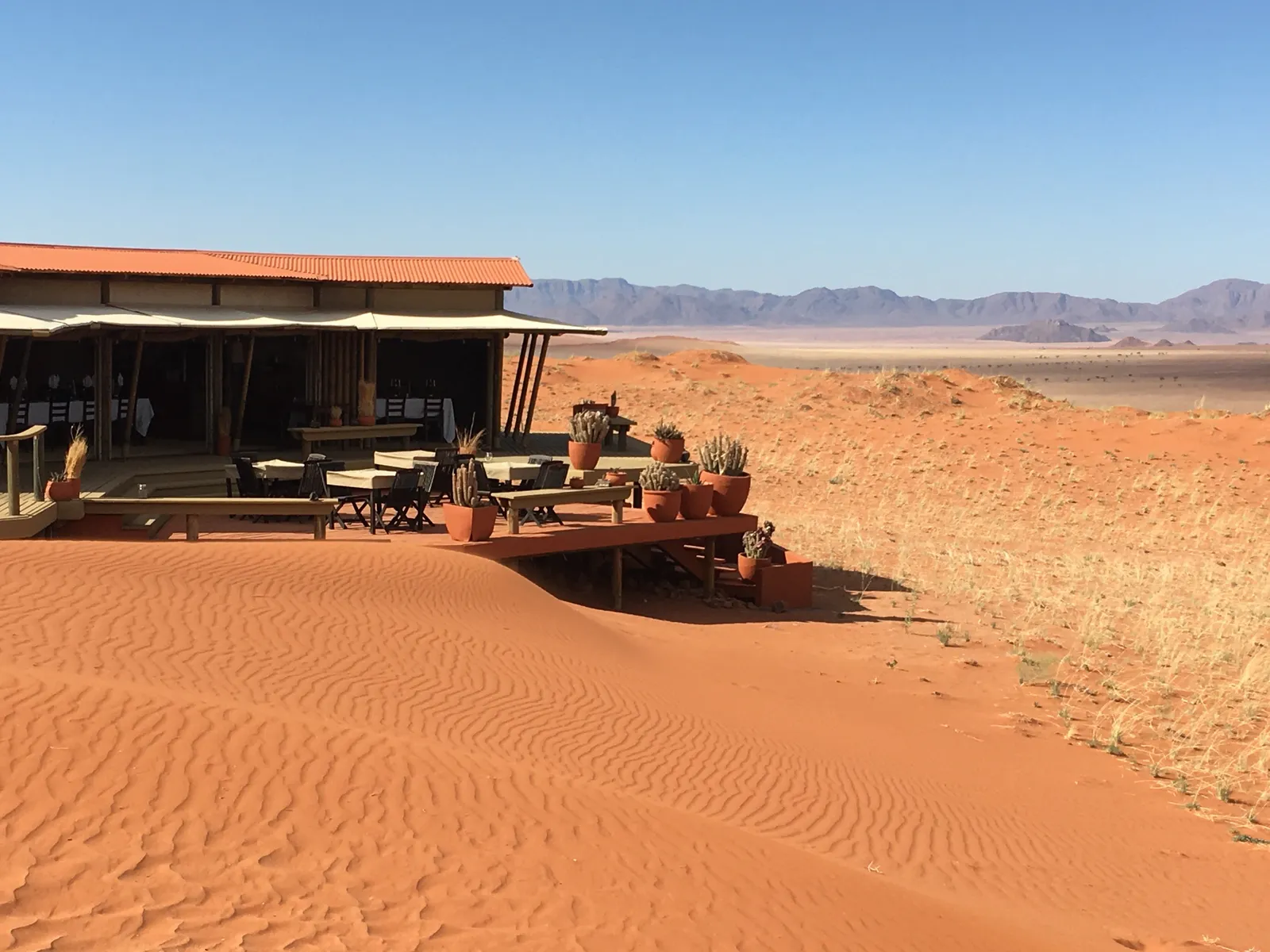 Luxuslodge mit roter Wellblechdachkonstruktion auf rotem Wüstensand, davor Sitzbereiche mit Kakteen