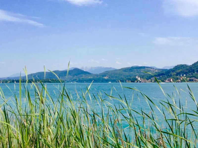 Schilfgras im Vordergrund rahmt den türkisblauen Wörthersee mit bewaldeten Bergen