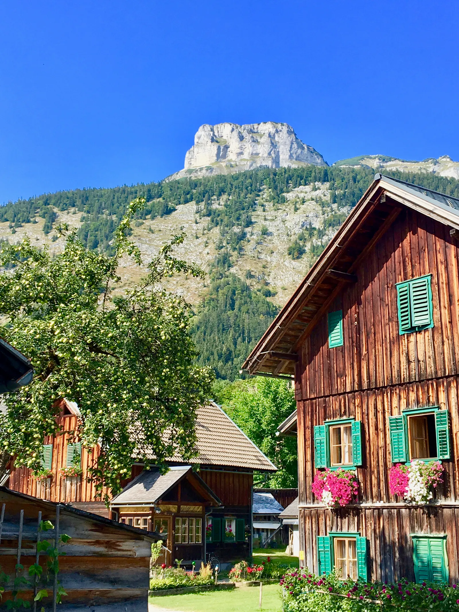 Holzhäuser mit grünen Fensterläden und Blumenschmuck vor bewaldeter Bergkulisse mit markanter Felskuppe