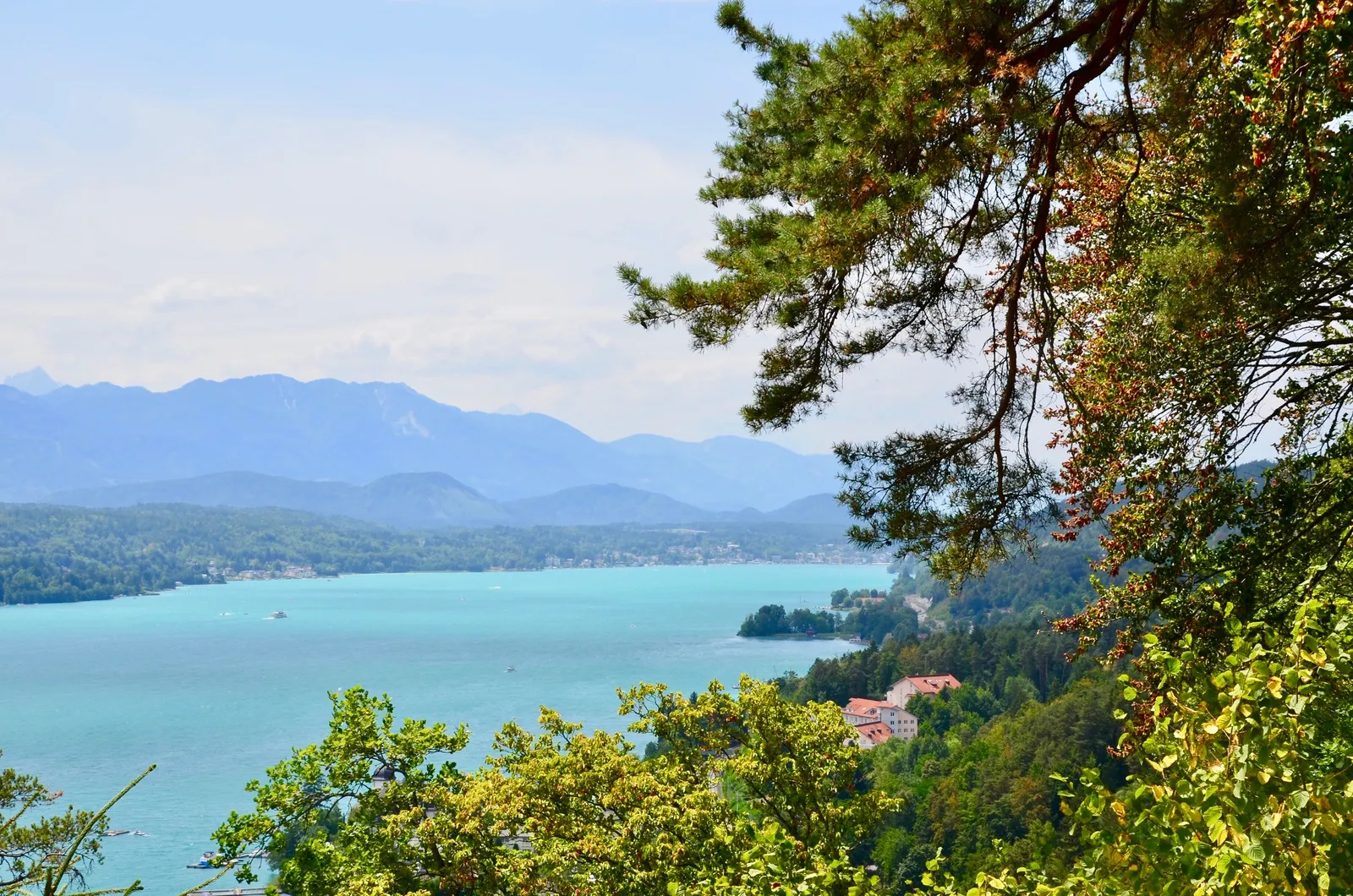 Türkisblauer Bergsee von Waldrand aus gesehen, dahinter bewaldete Hügel und schneebedeckte Bergkette unter blauem Himmel