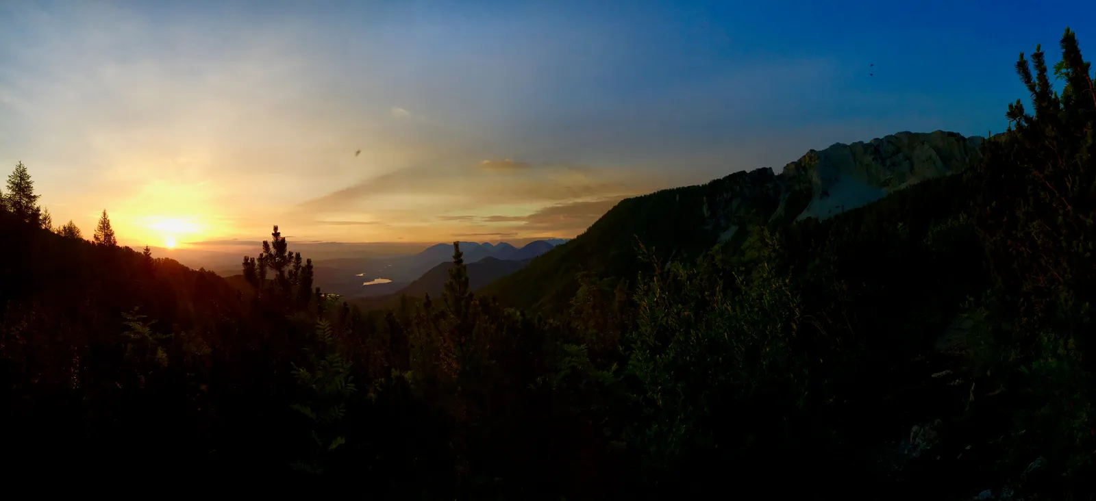Berglandschaft im Morgengrauen mit Sonnenaufgang hinter bewaldeten Hügeln und silhouettierten Fichten im Vordergrund