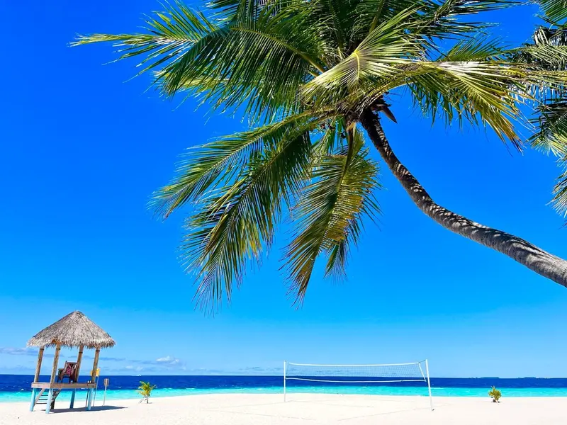 Tropischer Strand mit Palme im Vordergrund, Strohhütte und Volleyballnetz am weißen Sandstrand