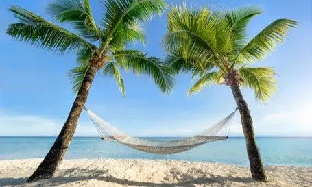 Weiße Hängematte zwischen zwei Palmen am Strand gespannt, türkisblaues Meer im Hintergrund unter klarem Himmel