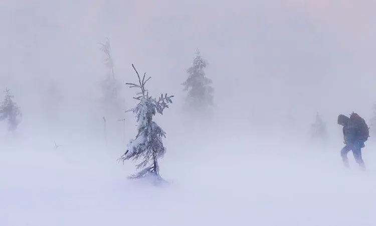 Wanderer in dichtem Schneegestöber zwischen verschneiten Fichten auf hochalpinem Gelände