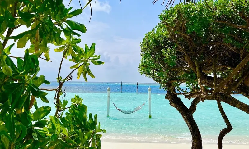 Türkisblaues Meer mit Strand, grünen Mangrovenbäumen und einer Hängematte zwischen Holzpfosten in tropischem Paradies