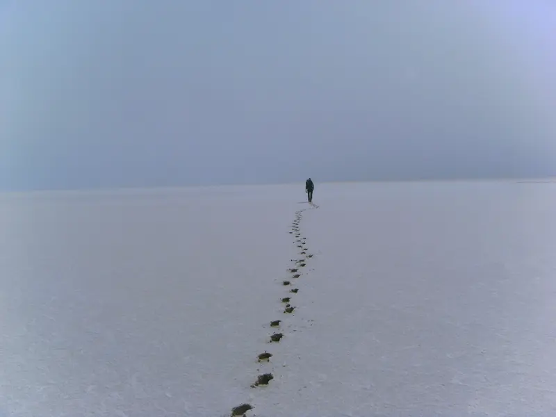 Einzelne Person folgt einer Spur von Steinen über schneebedeckte, neblige Landschaft in die Ferne