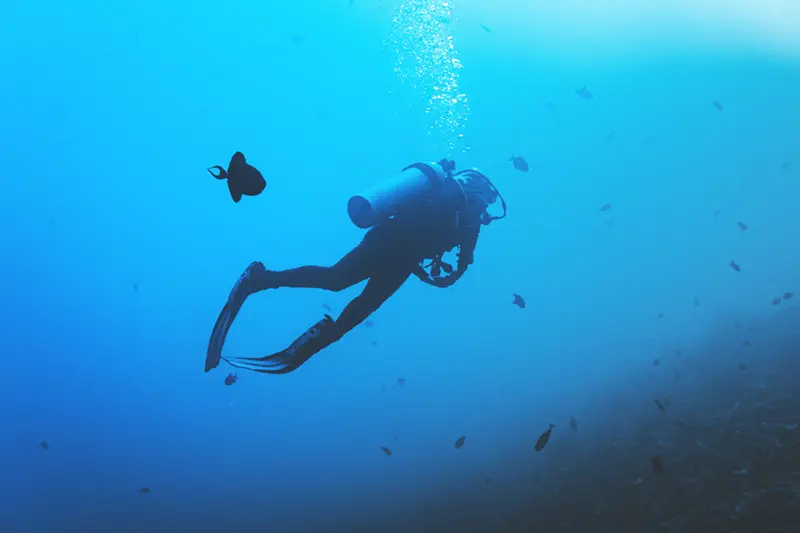 Taucher in Neoprenanzug und Ausrüstung erforscht das Meer in blauem Wasser neben einem Manta-Rochen