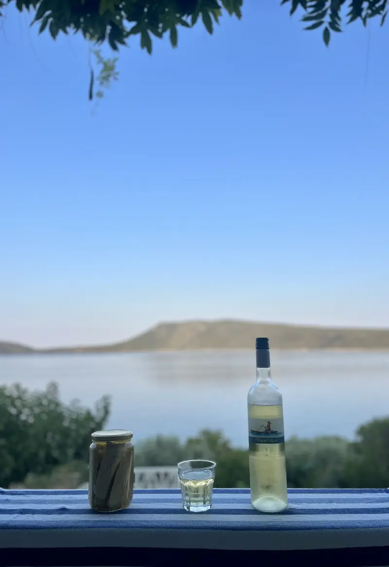 Weinflasche und Glas auf blauem Geländer mit Blick auf ruhige Bucht und bewaldete Hügel unter klarem Himmel
