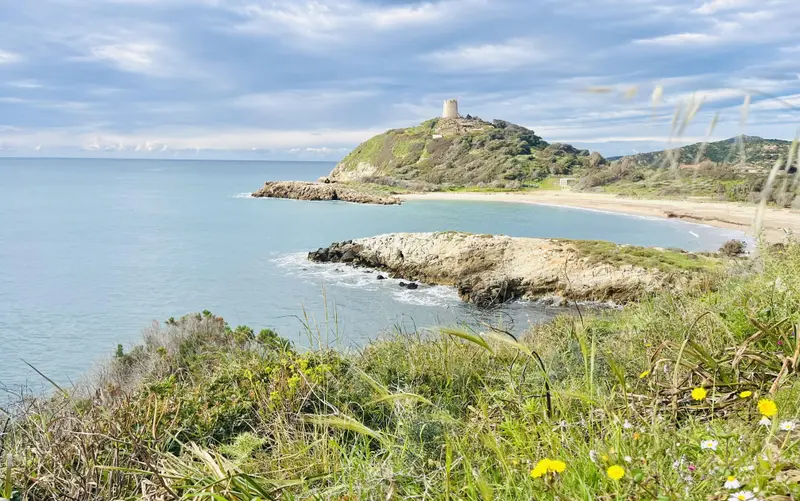 Küstenlandschaft mit Turm auf bewaldeter Anhöhe, Sandstrand und Felsen, im Vordergrund Blüten und Gras