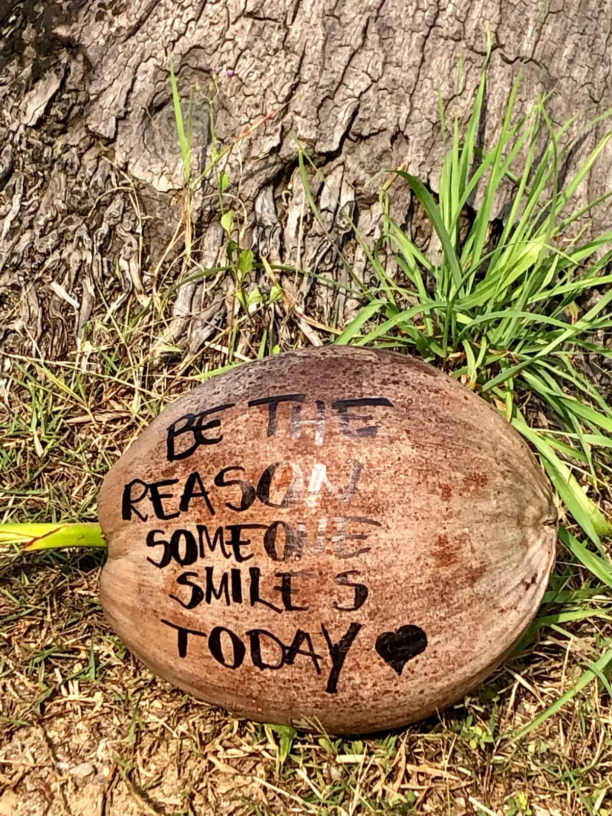 Bemalte Kokosnuss auf Erde mit grünen Gräsern, Aufschrift „BE THE REASON SOMEONE SMILED TODAY" mit Herz
