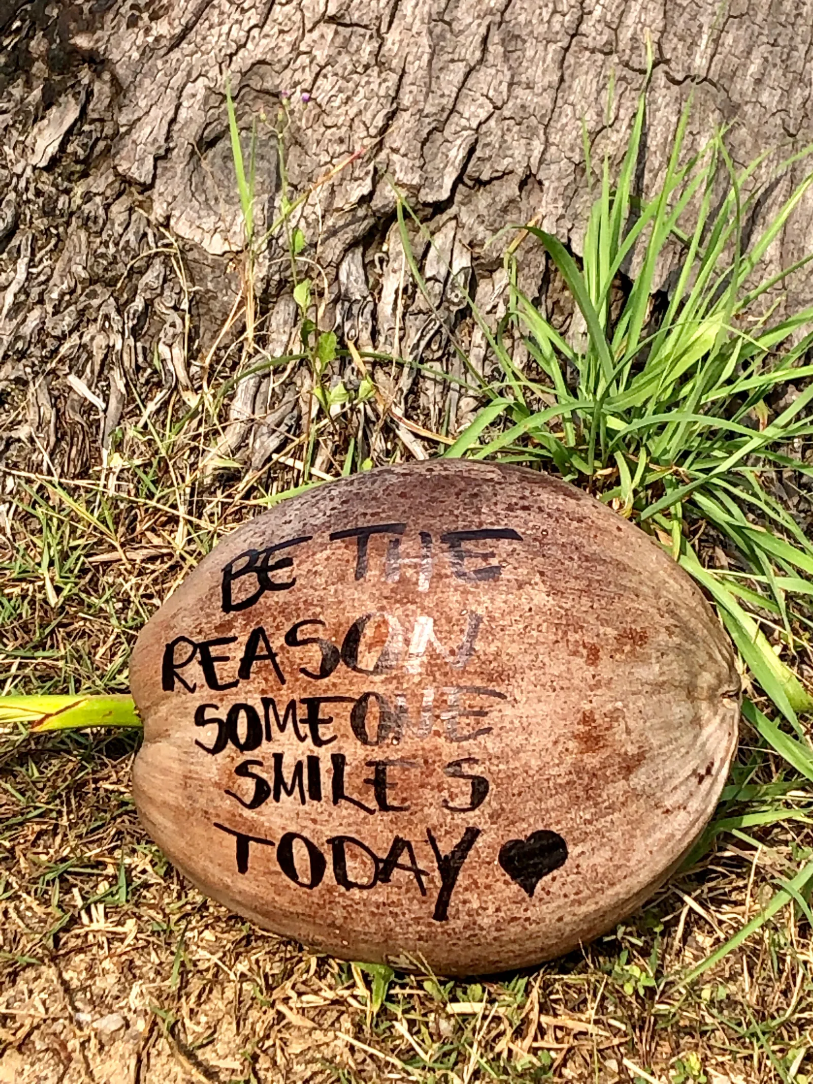Bemalte Kokosnuss auf Erde mit grünen Gräsern, Aufschrift „BE THE REASON SOMEONE SMILED TODAY" mit Herz