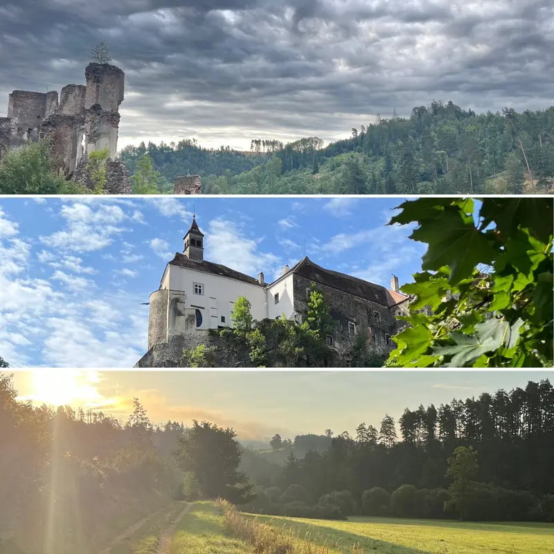 Drei Aufnahmen der Waldviertel-Landschaft: verfallene Burgruine auf bewaldeter Höhe, Schloss Raabs mit Kapelle auf Felsen