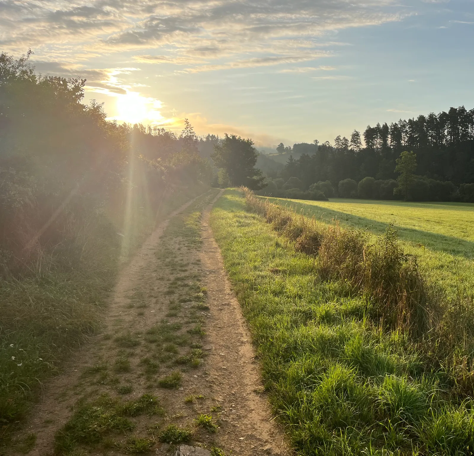 Feldweg am Waldrand bei Sonnenaufgang, grüne Wiese rechts, Wald links, Morgensonne bricht durch die Bäume