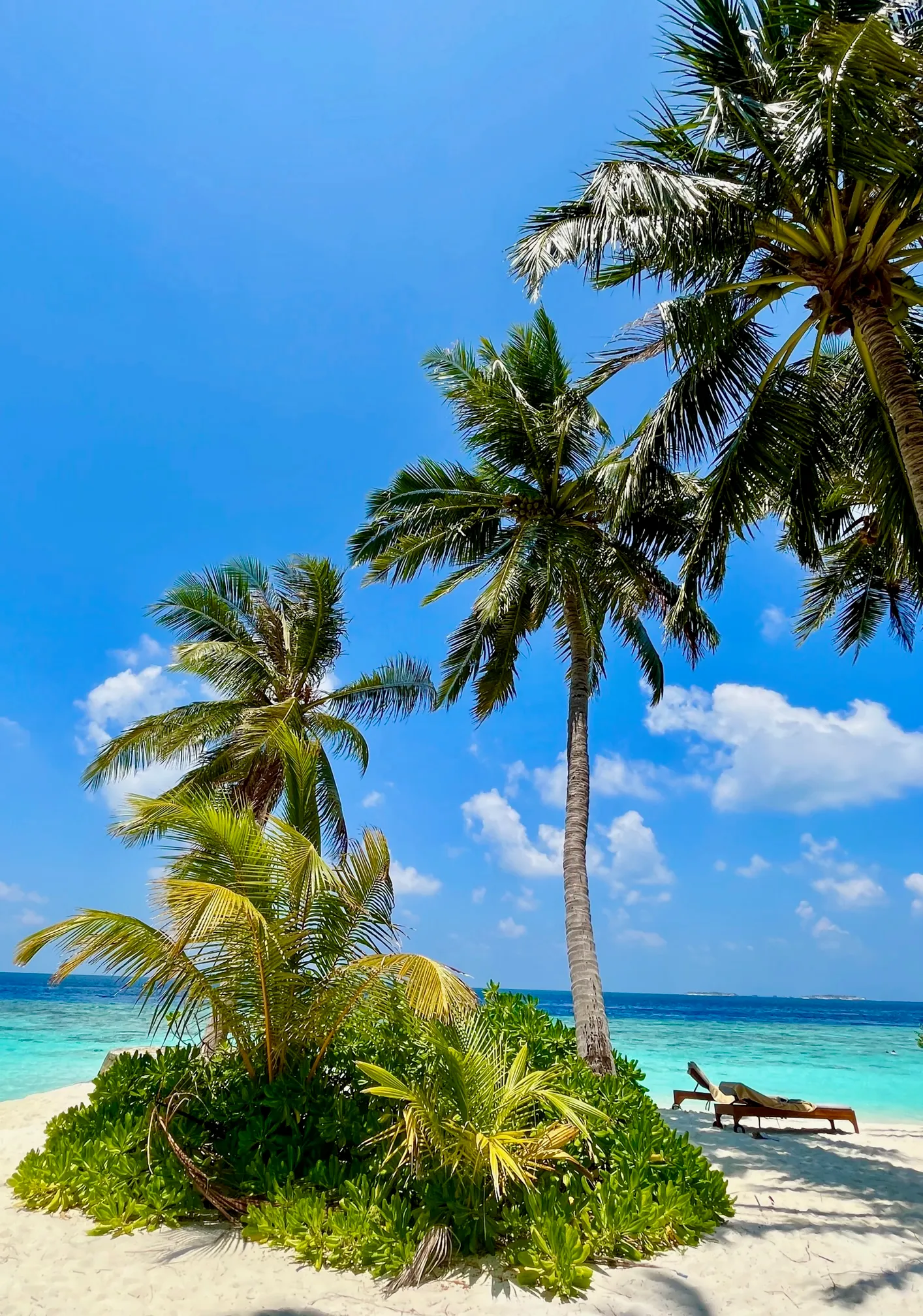 Tropischer Strand mit Palmen, türkisblauem Meer und Sonnenliegen, die Ruhe und Entschleunigung ausstrahlen