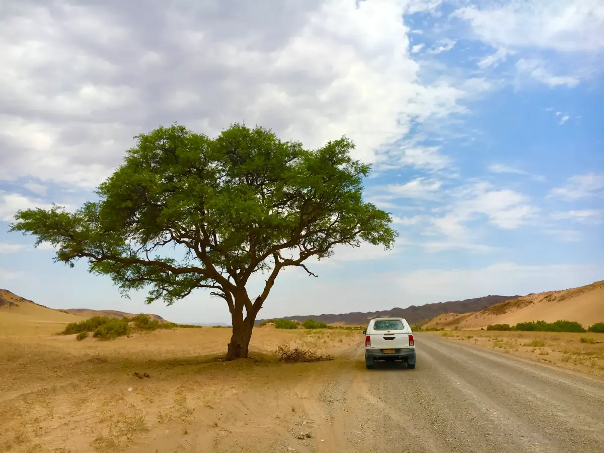 Weißer Geländewagen auf Sandpiste unter einzelnem grünem Baum in weiter Wüstenlandschaft unter blauem Himmel