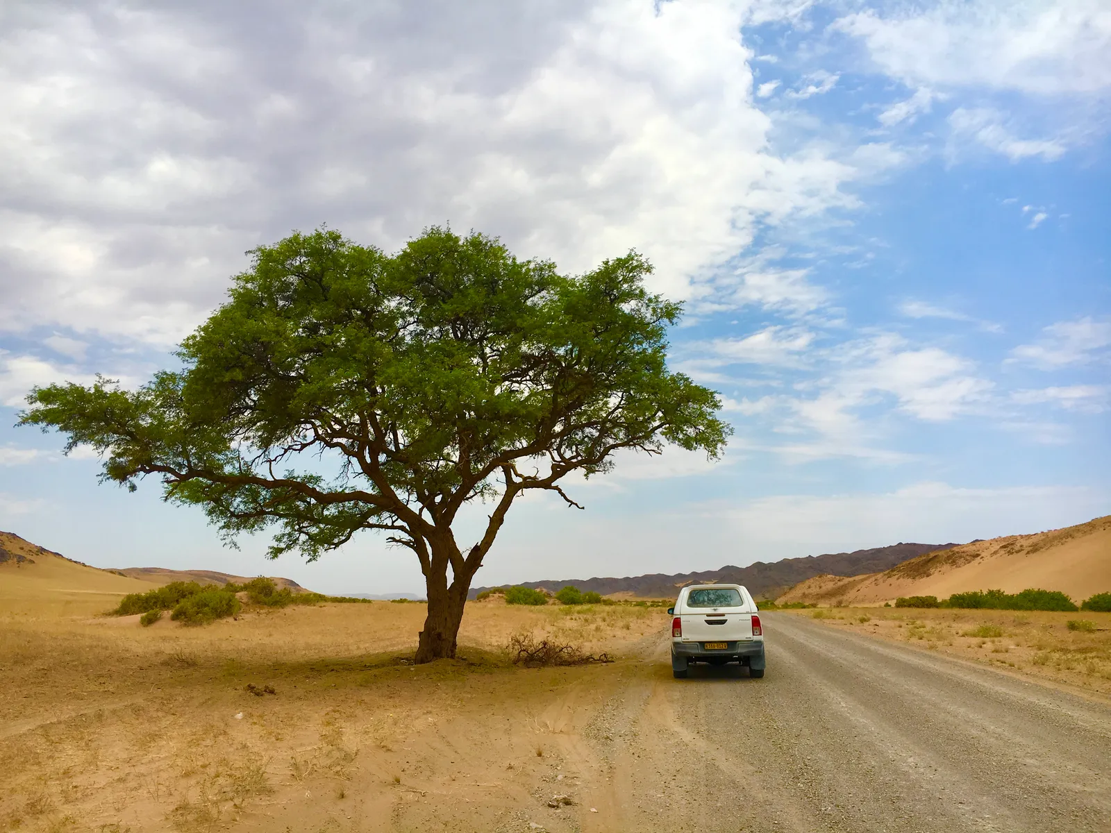 Weißer Geländewagen auf Sandpiste unter einzelnem grünem Baum in weiter Wüstenlandschaft unter blauem Himmel