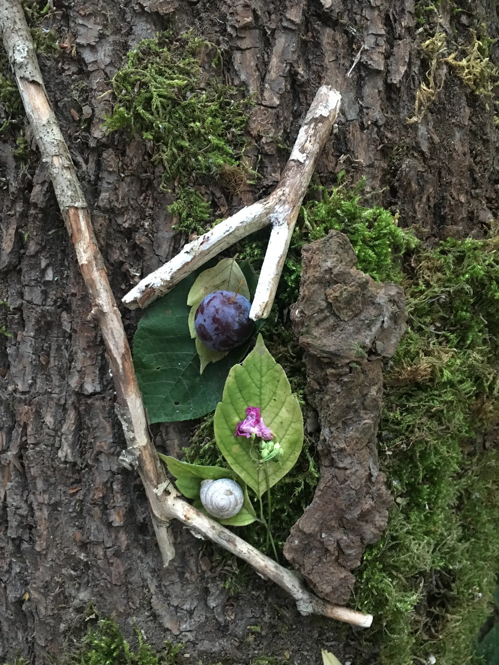 Waldkunstwerk aus Ästen und grünen Blättern mit Beeren und Blüte an einer moosigen Baumrinde arrangiert