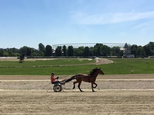 Pferd mit Sulky auf der Sandbahn einer Trabrennbahn, grüne Wiese und moderne Gebäude im Hintergrund, sonniger Tag