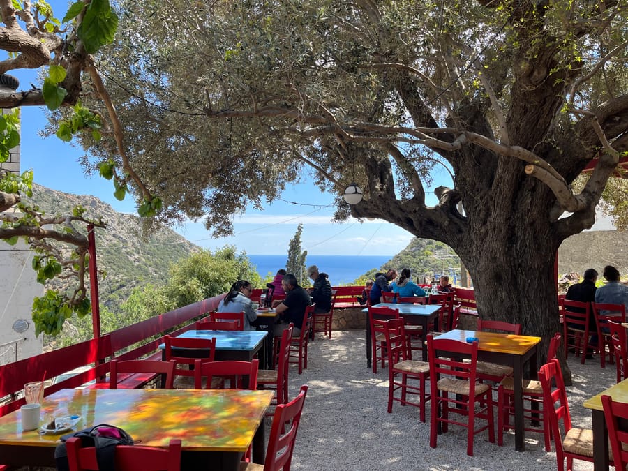 Taverne unter einem Olivenbaum mit Meerblick